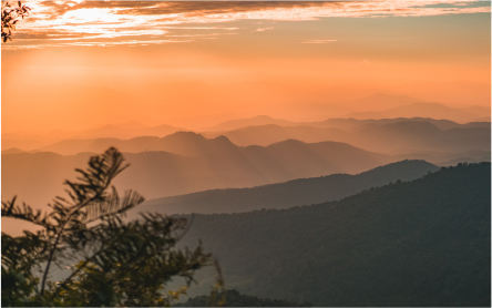 Sunset on mountains with tree